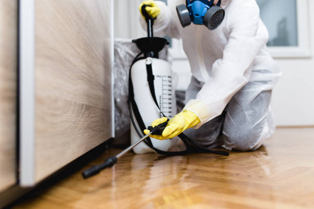 Best Wasp Removal Services  in North Kansas City, MO