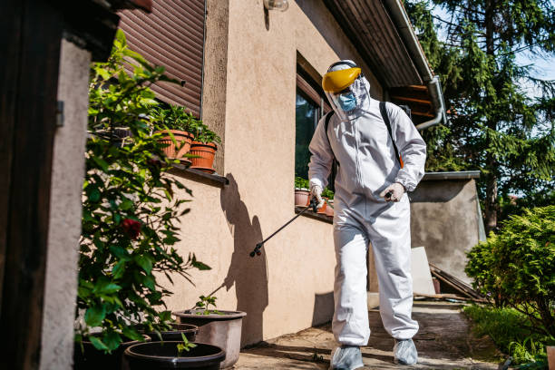Best Cockroach Control Services  in North Kansas City, MO
