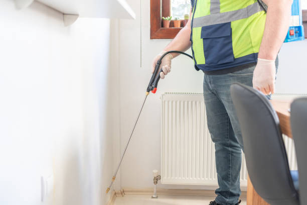 Professional Pest Control in North Kansas City, MO