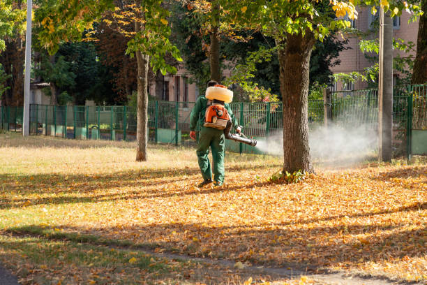 Best Pest Prevention Services  in North Kansas City, MO