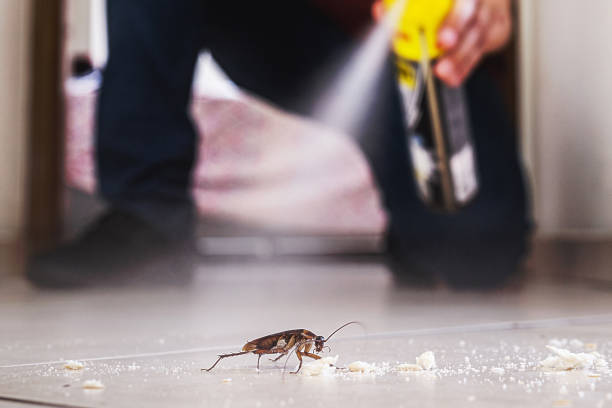 Best Mosquito Control Services  in North Kansas City, MO