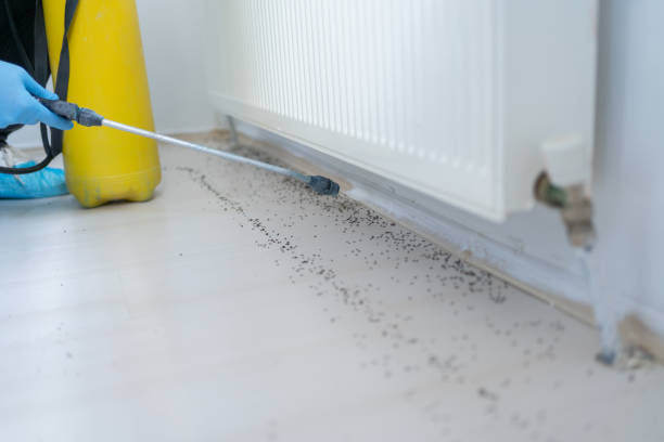 Best Affordable Pest Control Services  in North Kansas City, MO