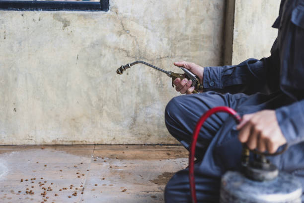 Best Best Pest Control Companies  in North Kansas City, MO